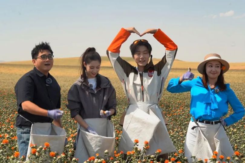 乘着大巴看中国·新疆行塔城站 探寻裕民“一花一羊”的丰饶密码