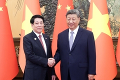 习近平会见越南国家主席梁强