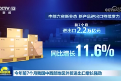 今年前7个月我国中西部地区外贸进出口增长强劲