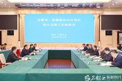 安徽省党政代表团来疆考察对接对口支援与合作发展工作