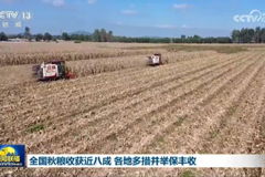 全国秋粮收获近八成 各地多措并举保丰收