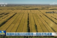 我国种业振兴行动取得一批标志性成果