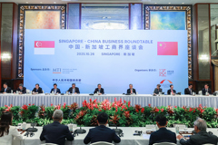 李强出席中国新加坡工商界座谈会