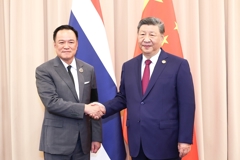 习近平会见泰国总理阿努廷