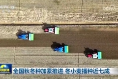 全国秋冬种加紧推进 冬小麦播种近七成