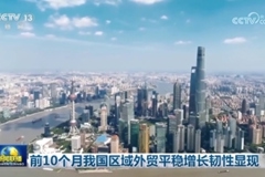 前10个月我国区域外贸平稳增长韧性显现