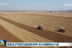 粮食主产区有力推进秋冬种 冬小麦播种过八成