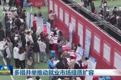 多措并举推动就业市场提质扩容