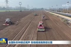 全国秋冬种接近尾声 各地精准施策促壮苗