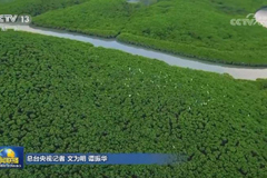 我国生态保护红线内生态系统质量稳步改善