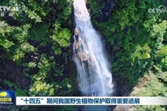 “十四五”期间我国野生植物保护取得重要进展