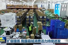 扩容提质 我国县域消费活力持续迸发