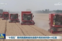 “十四五”期间我国新建改造提升高标准农田4.6亿亩