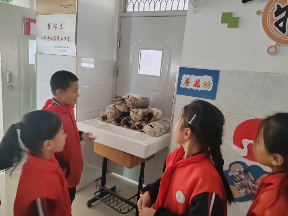 微信图片_20251217210706_19_1051