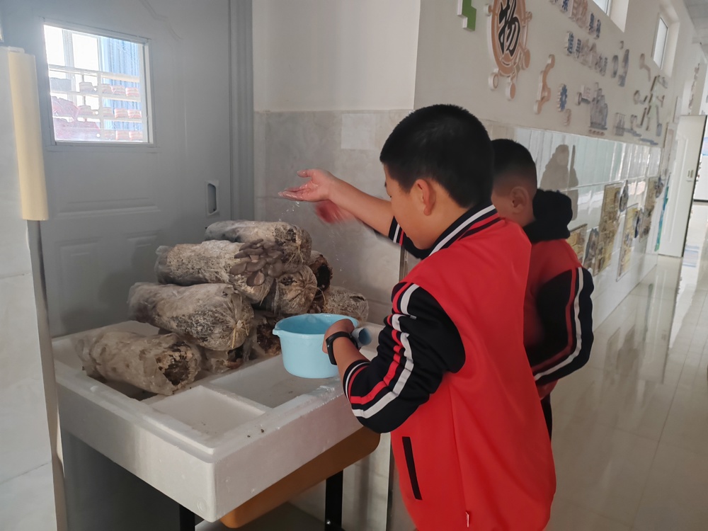 微信图片_20251217210700_17_1051