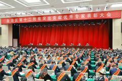 自治区第十二批有突出贡献优秀专家表彰大会举行