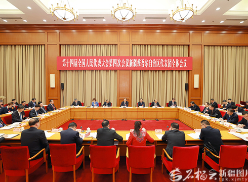 新疆代表团举行全体会议审议政府工作报告
