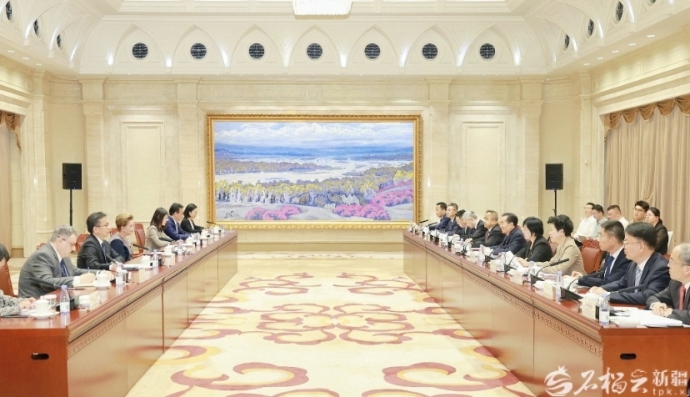 陈小江艾尔肯·吐尼亚孜会见新开发银行行长罗塞芙