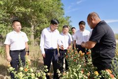 支现伟在裕民县调研时强调 立足资源禀赋 夯实基层治理 做强特色产业 推动地区高质量发展提质增效