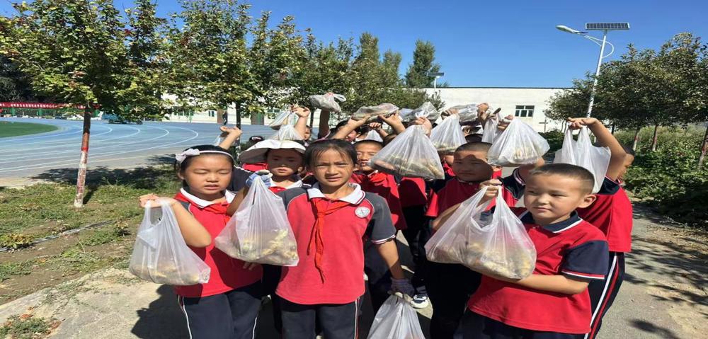 a8aa04508bb3b3c647b2d097d04384c